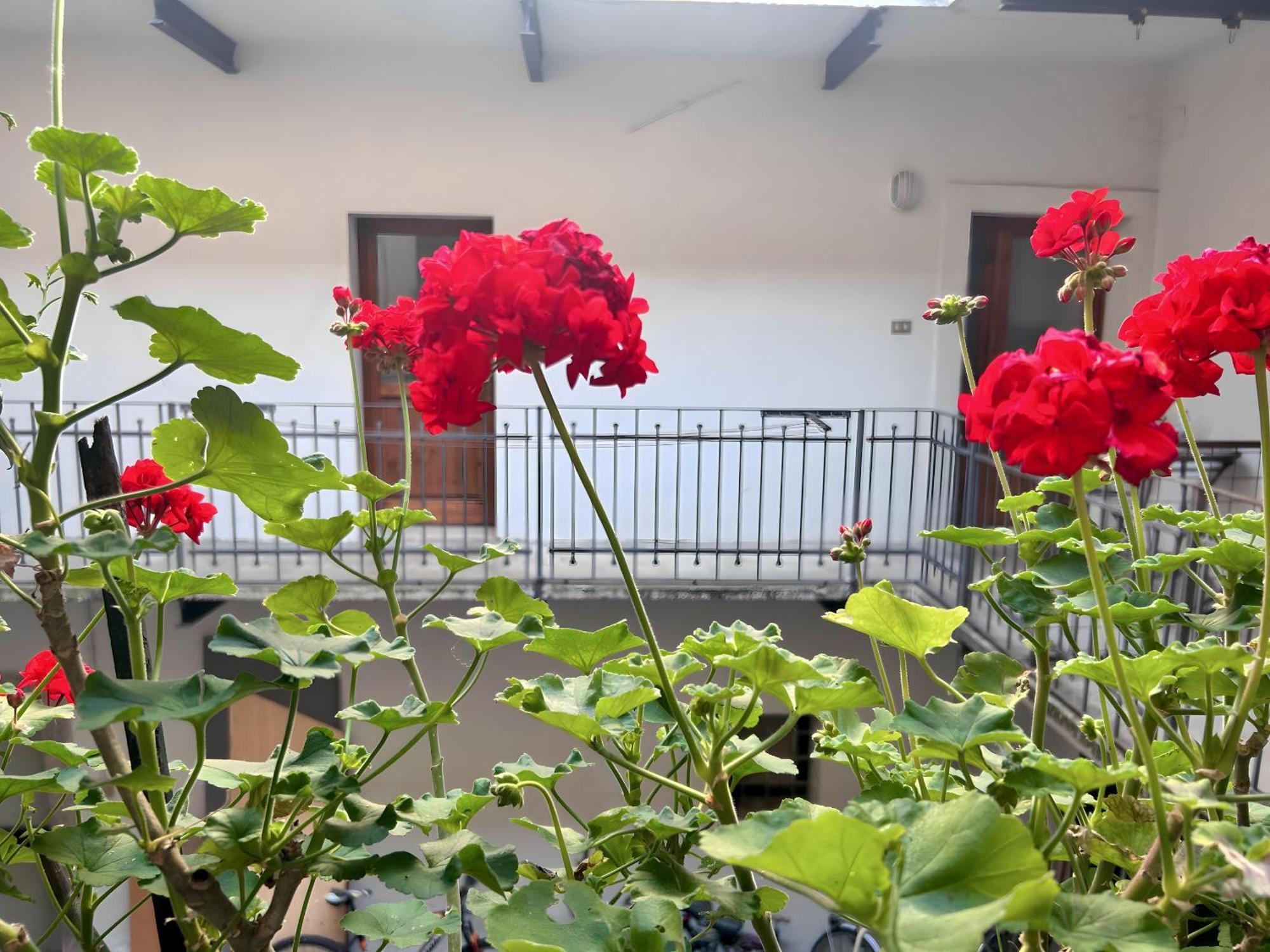 Gorizia Holiday Inn Rastello Suite Экстерьер фото